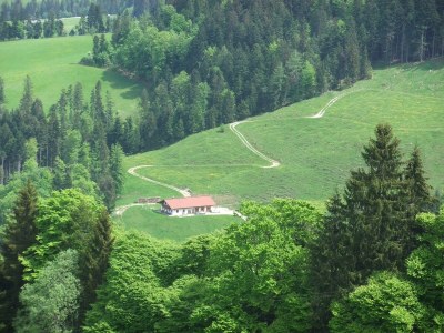 Apartment Goglalm - Outdoor photo 9