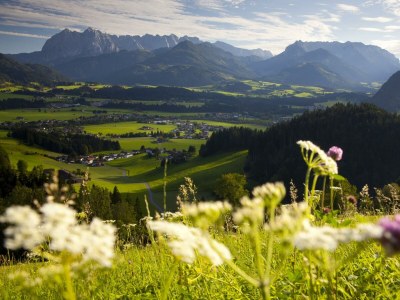 Apartment 3-Zimmer FeWo (Nr. 106) - Outdoor photo 22