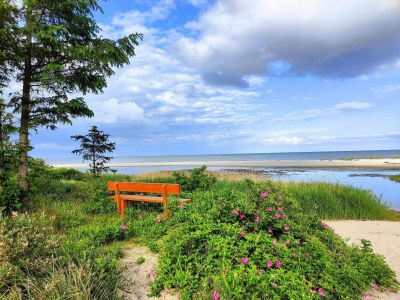 Holiday house 6 Personen Ferienhaus in Hals-By Traum - Outdoor photo 16