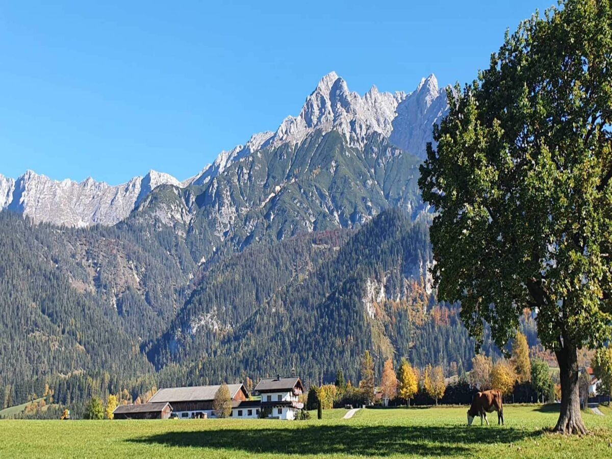 Apartment Holiday on an organic farm near ski slopes - Outdoor photo 2