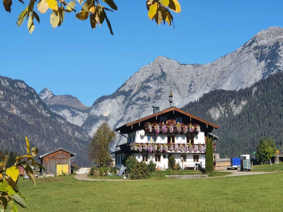 Apartment Holiday on an organic farm near ski slopes - Outdoor photo 4