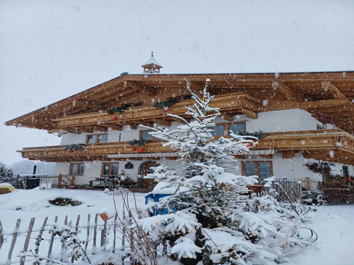 Apartment Holiday on an organic farm near ski slopes - Outdoor photo 5