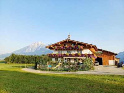 Apartment Holiday on an organic farm near ski slopes in Saalfelden Leogang - Apartment