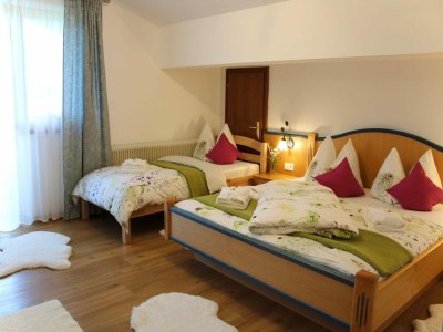 Apartment Holiday on an organic farm near ski slopes - Features photo 10