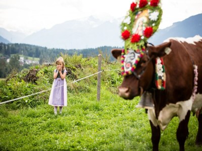 Apartment Holiday on an organic farm near ski slopes - Environment photo 34