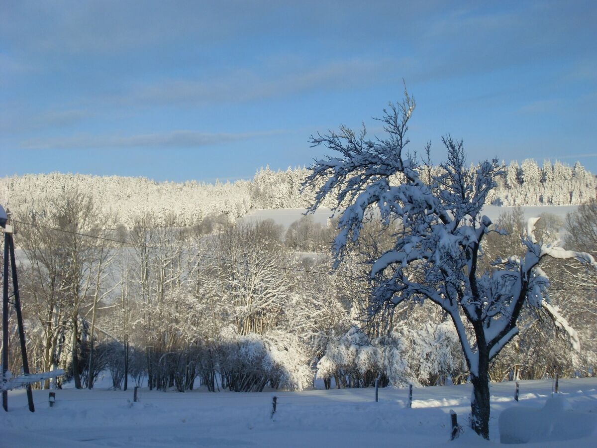Holiday house Haus in Vogesen nahe Cascades du Gerhard - Outdoor photo 2