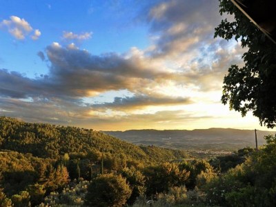 Farmhouse Rustic Tuscan Farmhouse - Environment photo 30