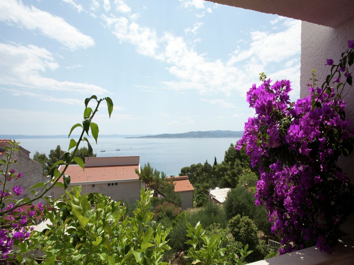 Villa Charmante Villa mit privatem Schwimmbad in Dalmatien - Outdoor photo 5
