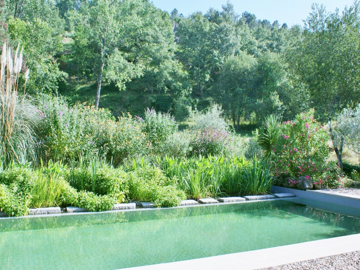 Holiday park Ferienhaus in Covas mit Pool und Natur - Outdoor photo 3
