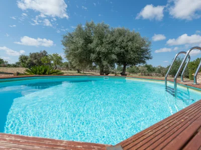 Finca Son Rossinyol in Llubi - Finca