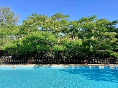 Holiday apartment I Ciliegi - Holiday apartment 10km from the sea - Outdoor photo 14