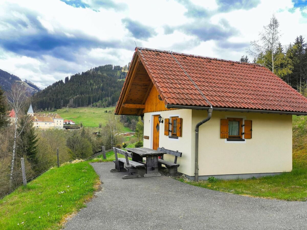 Holiday park Chalet in Gaal by Ski Slopes & Alpine Park - Outdoor photo 2