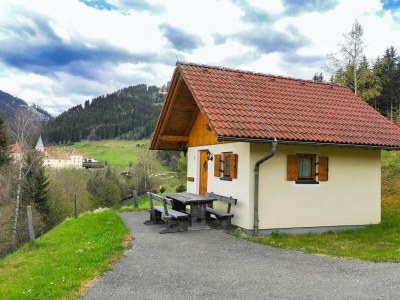 Holiday park Chalet in Gaal by Ski Slopes & Alpine Park - Outdoor photo 2
