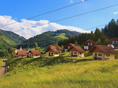 Holiday park Chalet in Gaal by Ski Slopes & Alpine Park - Environment photo 12