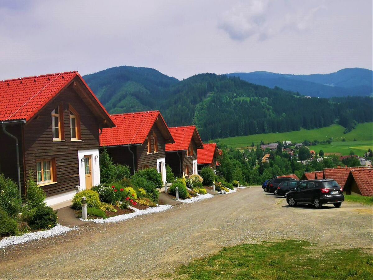 Holiday park Chalet in Gaal an der Skipiste & Badeteich