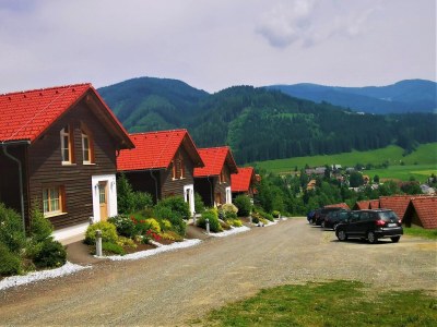Holiday park Chalet in Gaal an der Skipiste & Badeteich in Gaal - Holiday park