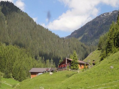 caravan Loft in Gaal nahe Skipisten - Environment photo 25