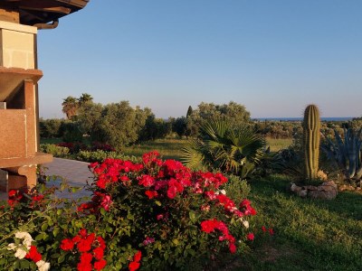 Villa Marvellous Villa Lona with stunning sea view - Outdoor photo 9