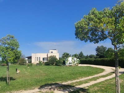 Villa Marvellous Villa Lona with stunning sea view - Outdoor photo 14