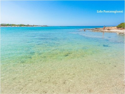 Villa Apulia retreat - private pool - 14 guest - Environment photo 31