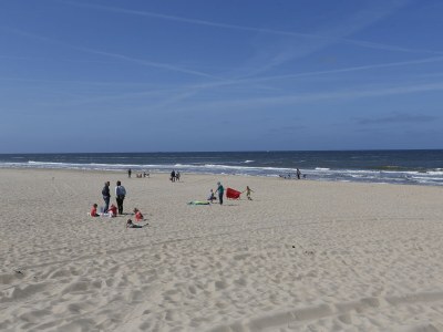 Holiday house Wildrijk 161 - Environment photo 14