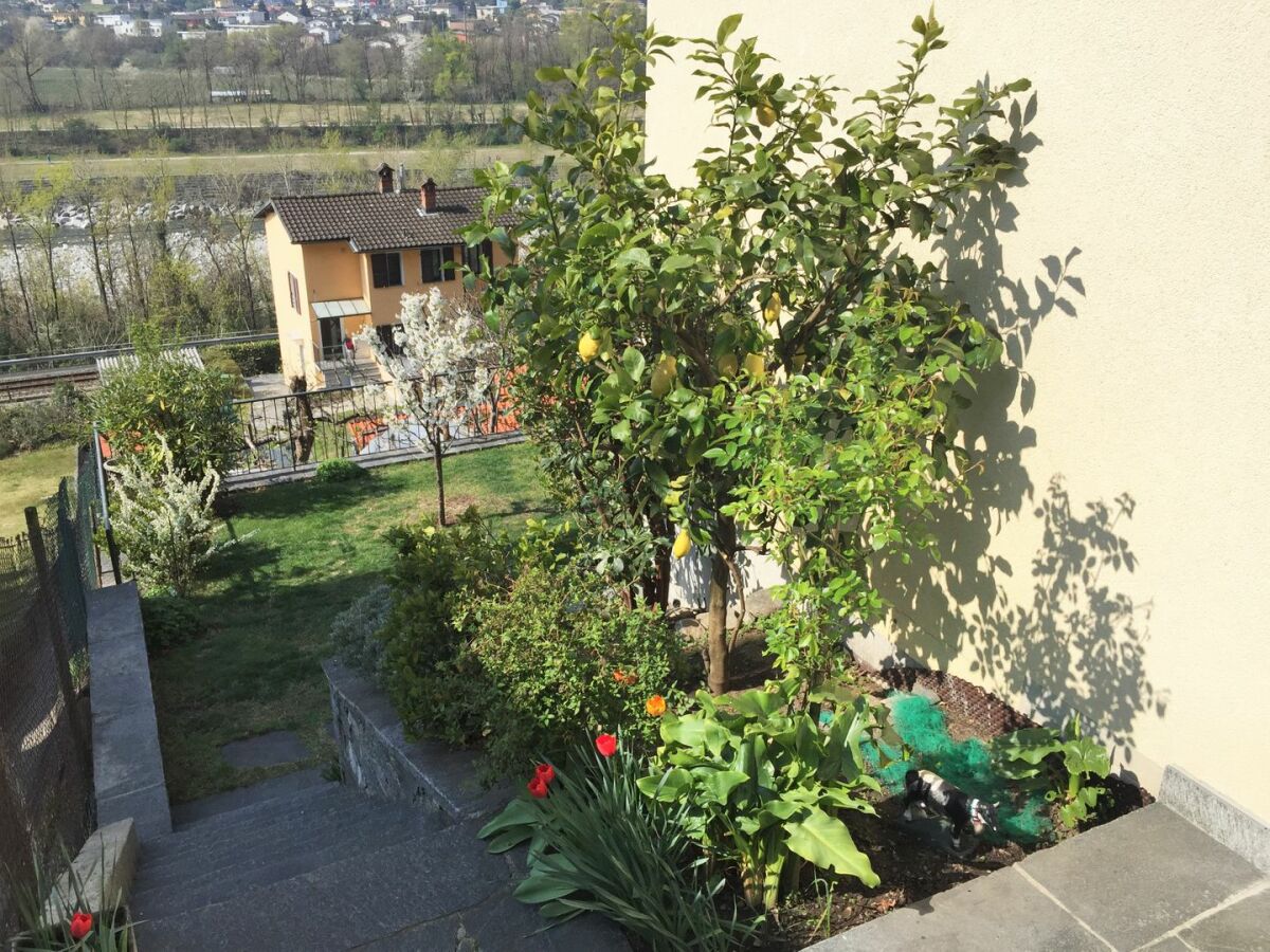 Holiday apartment Clara - Outdoor photo 5