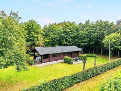 Holiday house 4 Personen Ferienhaus in Toftlund-By Traum - Outdoor photo 3