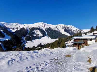 Ski lodge Alpine cabin Hippach - Environment photo 19