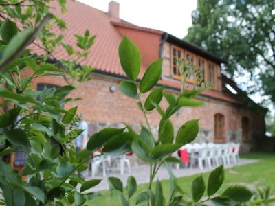 Cottage Landhaus in Gressow mit Terrasse - Outdoor photo 40