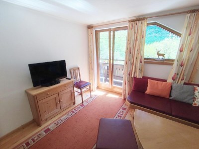 Holiday house Chalet in Tirol by Zillertal Ski Slopes - Features photo 10