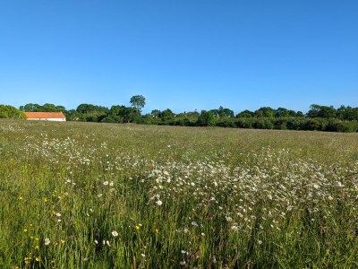 Holiday house Le Pressoir - Outdoor photo 13