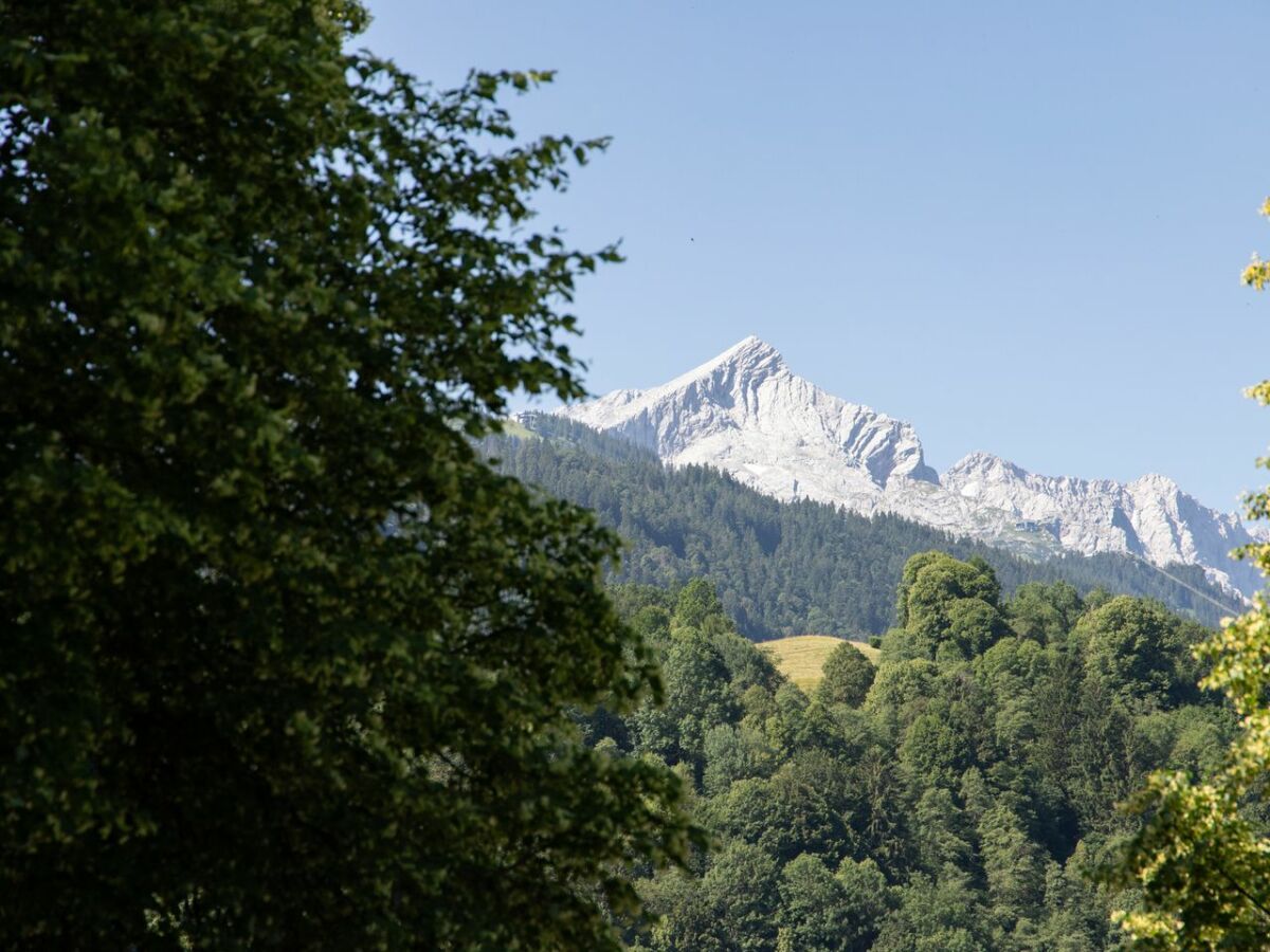 Holiday apartment Bergnest - Outdoor photo 4