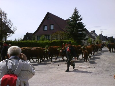 Holiday apartment Oberharz am Brocken, OT Stiege - Environment photo 14
