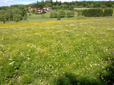 Holiday apartment Oberharz am Brocken, OT Stiege - Environment photo 17