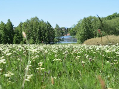 Holiday apartment Oberharz am Brocken, OT Stiege - Environment photo 19