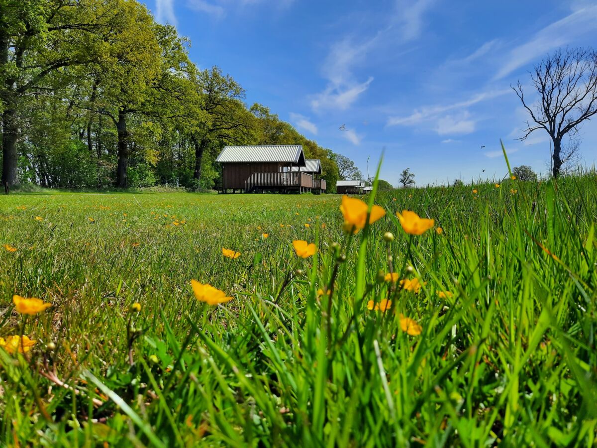 Holiday park Lodge by Dutch Meadows with Scenic Veranda - Outdoor photo 5