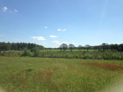 Holiday park Lodge by Dutch Meadows with Scenic Veranda - Environment photo 36
