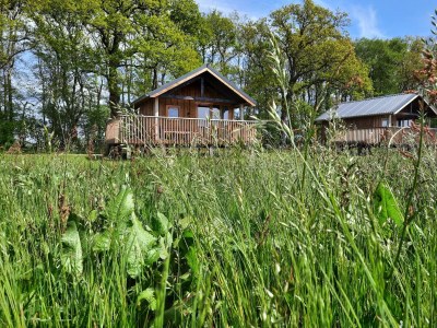 Holiday park Lodges in Drenthe with Scenic Meadow Views - Outdoor photo 5