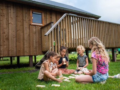 Holiday park Lodges in Drenthe with Scenic Meadow Views - Outdoor photo 13