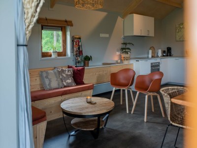 Holiday park Lodges in Drenthe with Scenic Meadow Views - Features photo 17