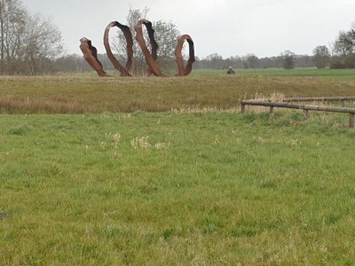 Holiday park Lodges in Drenthe with Scenic Meadow Views - Environment photo 33