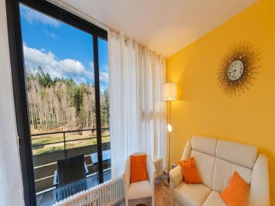 Apartment Appartement Michaela in Freyung mit Pool in Bavarian Forest - Apartment