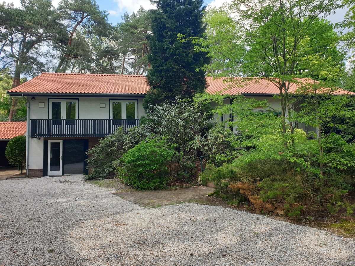 Holiday house Country House in Leende near Leenderbos Forest - Outdoor photo 3