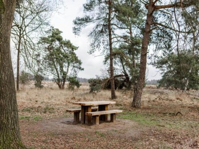 Holiday house Country House in Leende near Leenderbos Forest - Environment photo 32