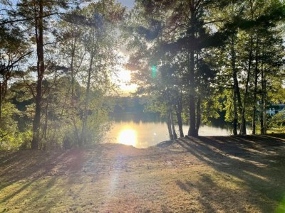 Holiday park Cozy Glamping in Mierlo - Environment photo 19