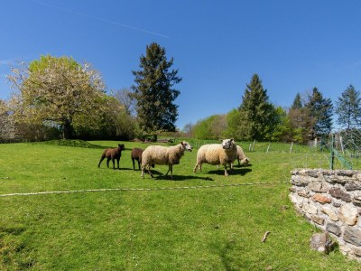 Holiday house Schönes Ferienhaus in der Nähe von See und Wald - Outdoor photo 15