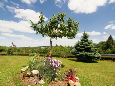 Holiday house Schönes Ferienhaus in der Nähe von See und Wald - Outdoor photo 18