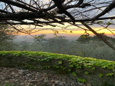 Apartment Apartment in Tuscany near Montecatini Golf Club - Environment photo 30