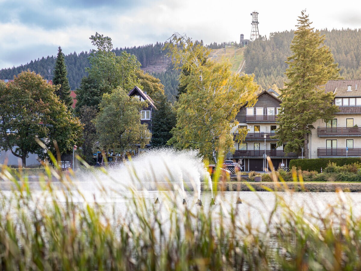 Holiday apartment Hexenglück Hahnenklee - Outdoor photo 4