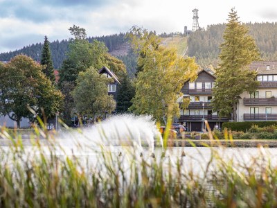 Holiday apartment Hexenglück Hahnenklee - Outdoor photo 4